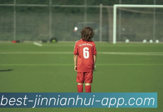 App Interface Preview