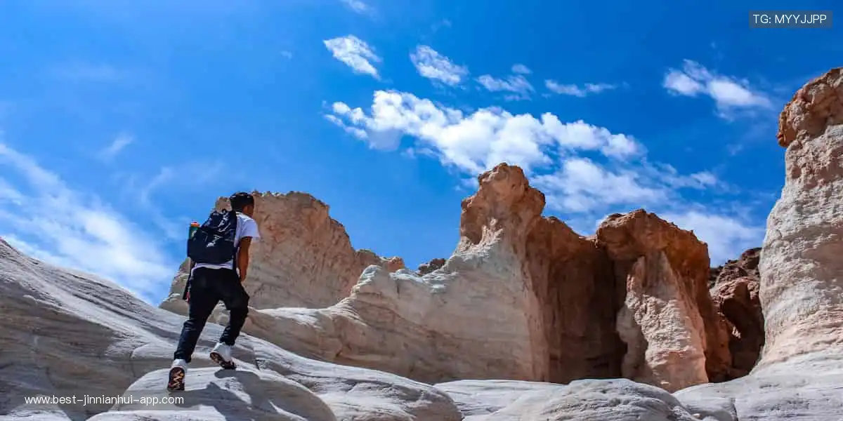 📺 实时直击,让热爱永不缺席!